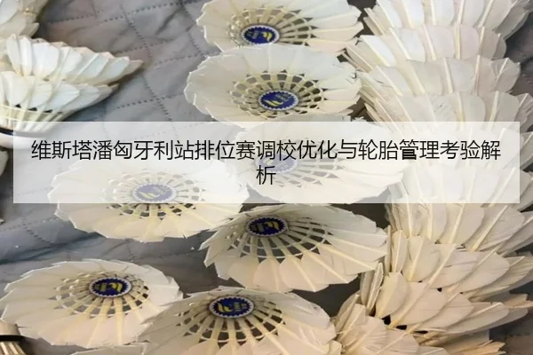 维斯塔潘匈牙利站排位赛调校优化与轮胎管理考验解析